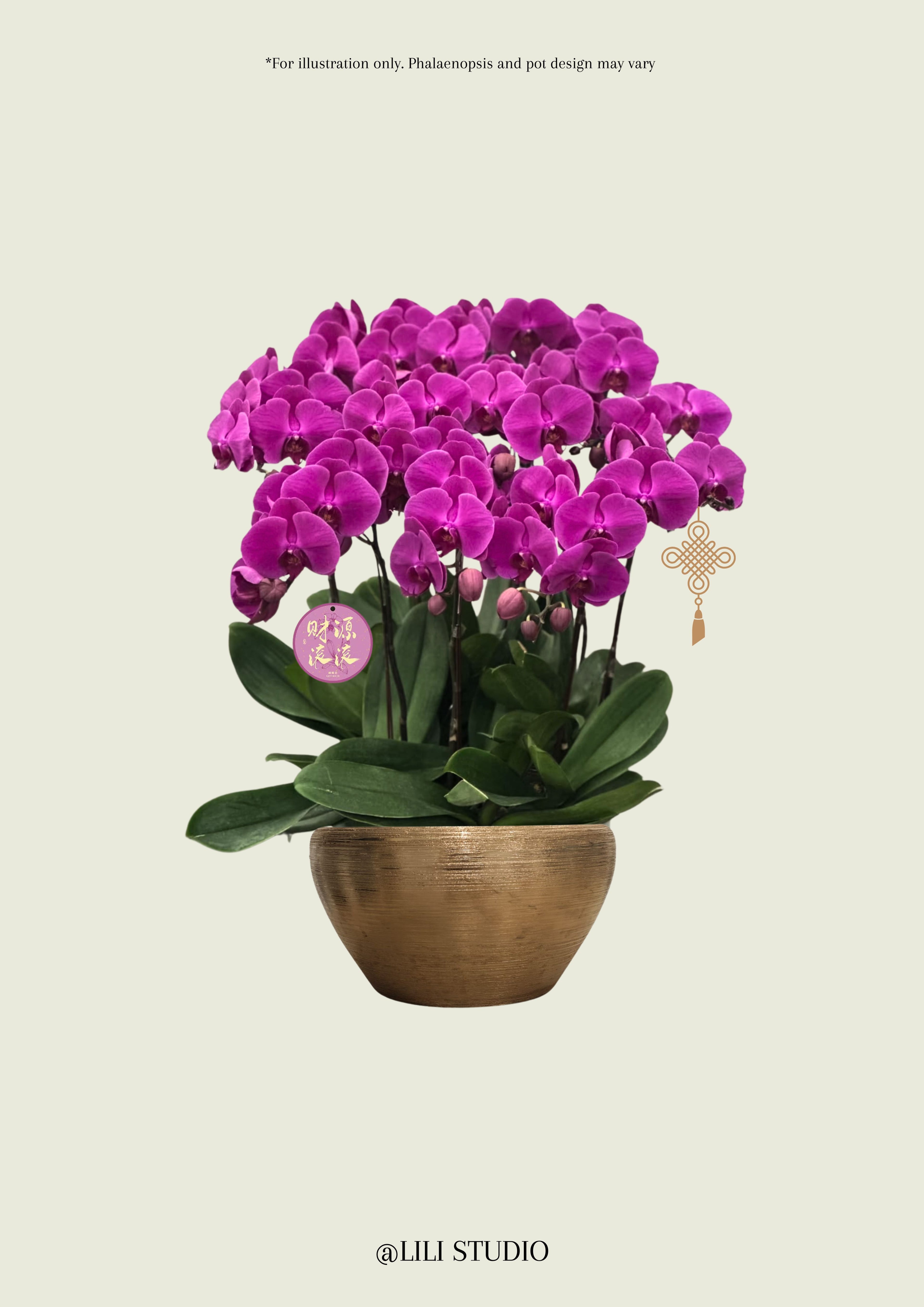 Bloom Dynasty