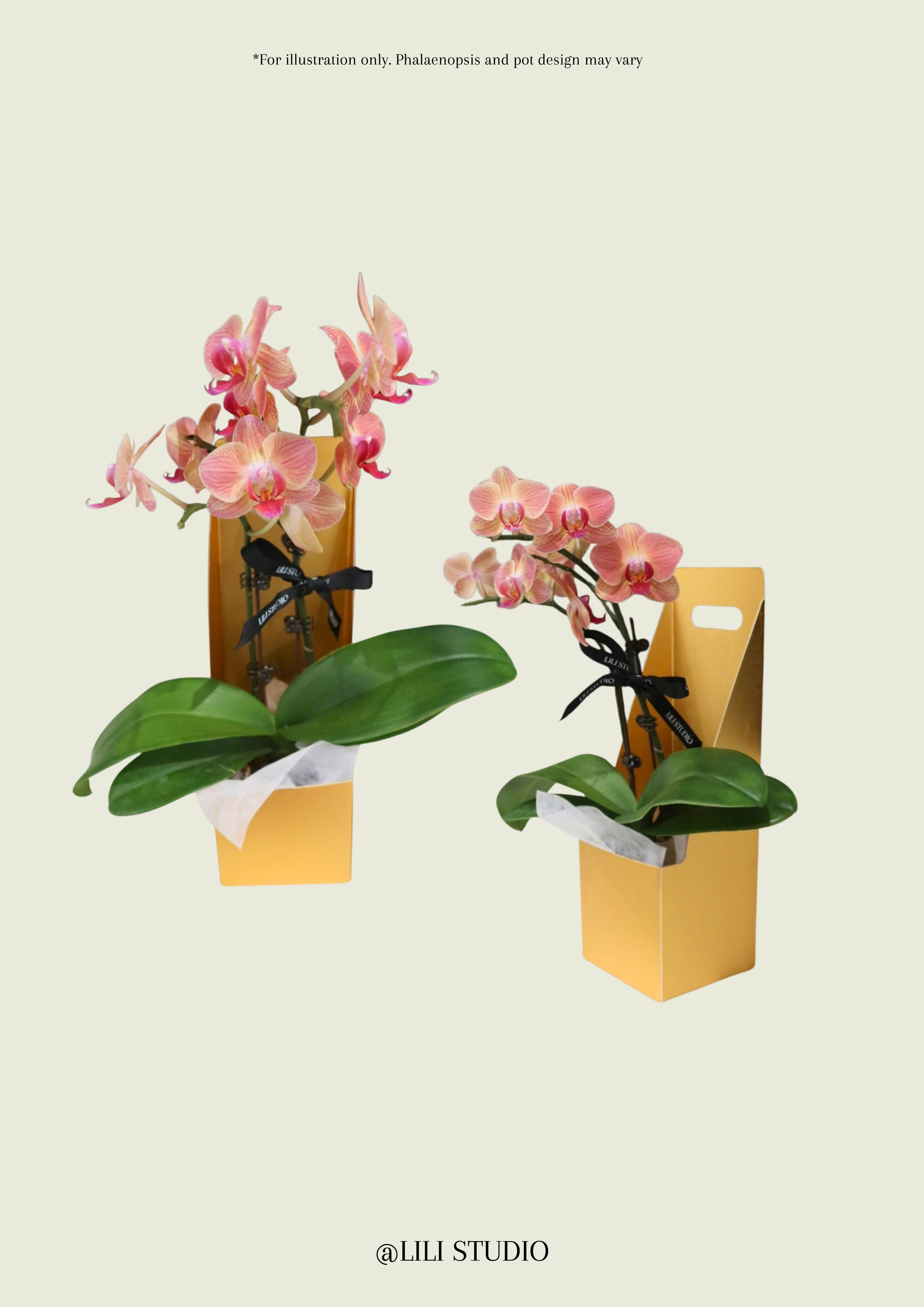 Mini Gift Box - Best for Corporate Gifts/Events