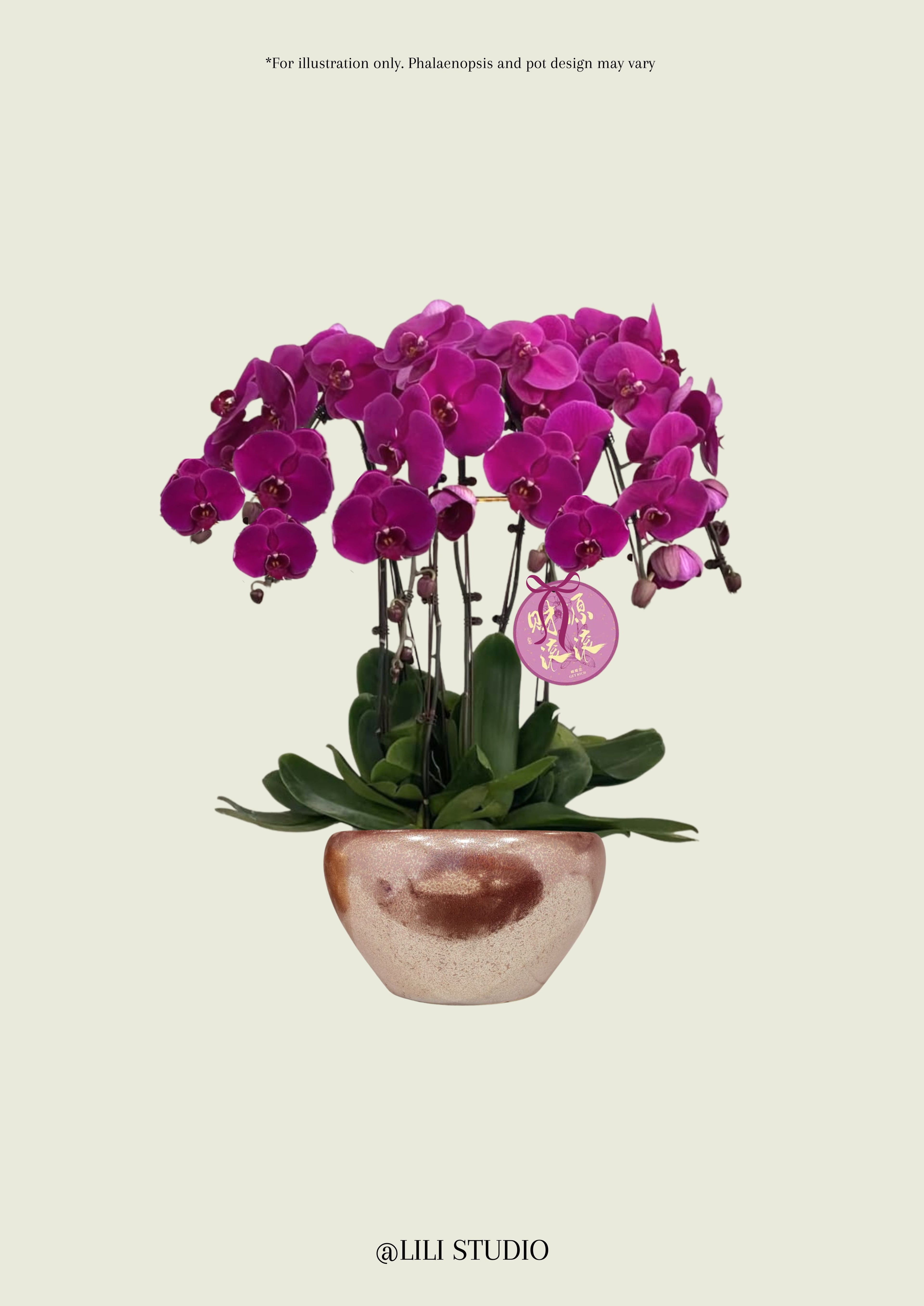 Great Fortune in Purple Bloom