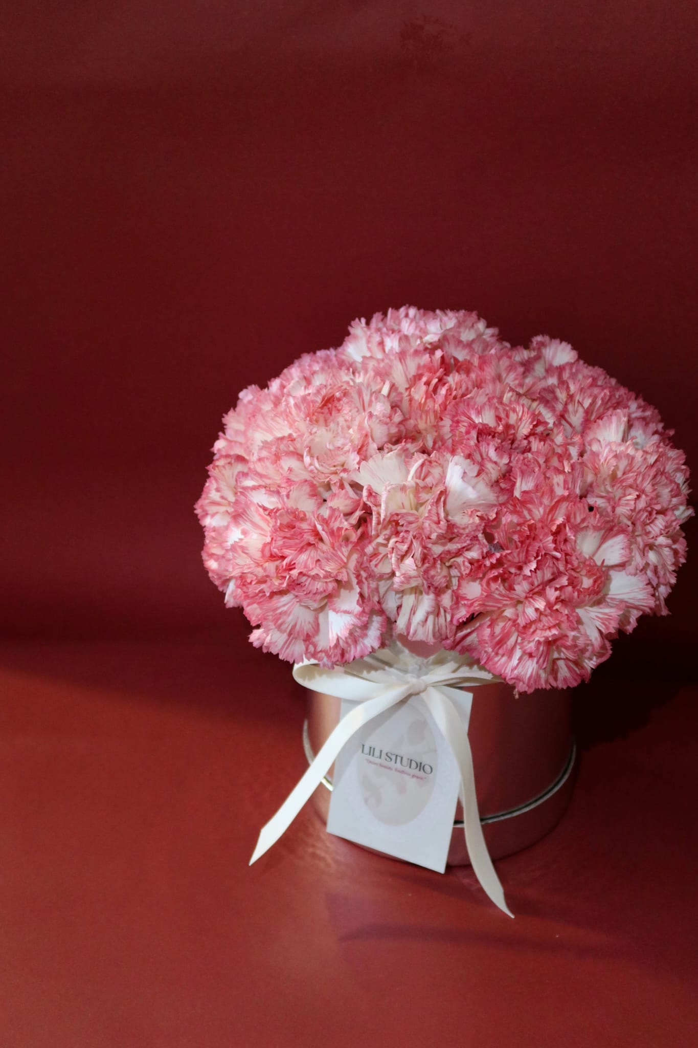 Carnation Bloom